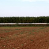 2309F 146 RM Donau Kanal